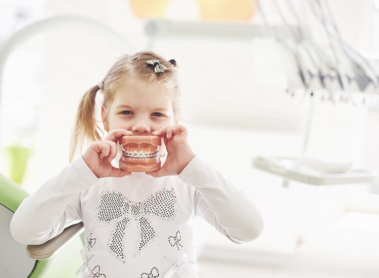 child holding teeth model with braces