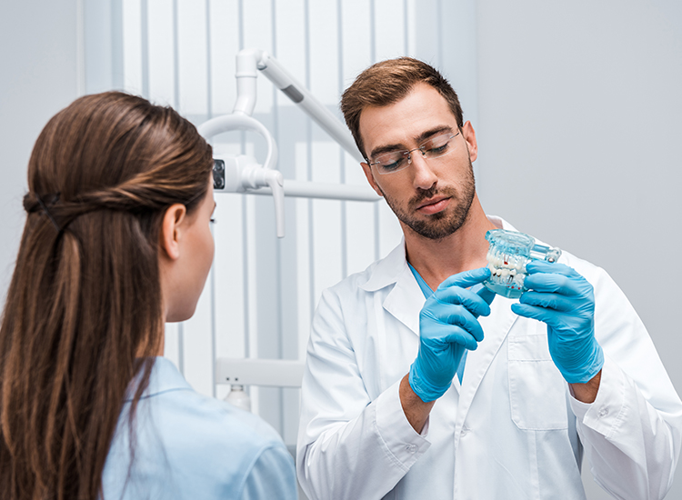 dentist showing teeth model to patient