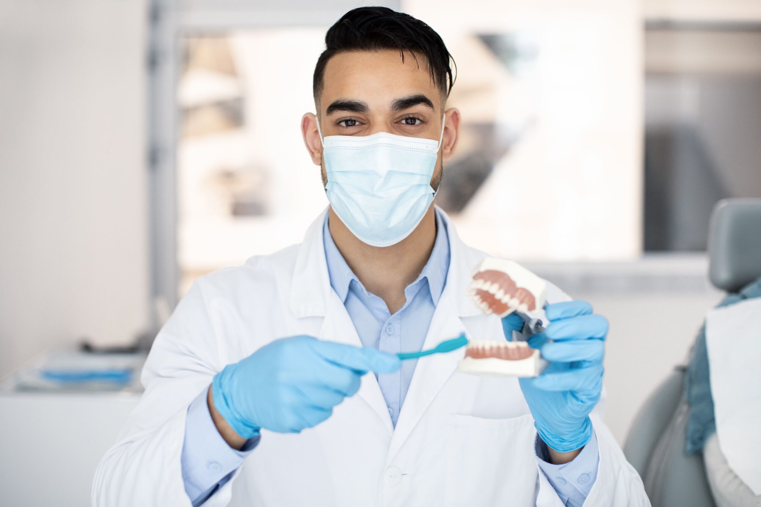 dentist brushing teeth model