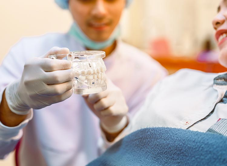 dentist showing teeth model to patient