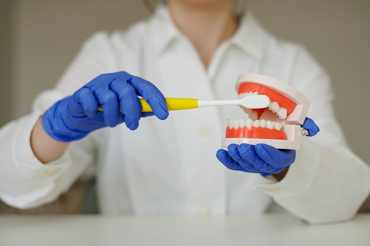 dentist brushing teeth model