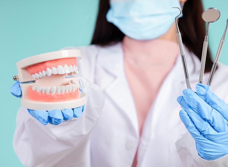 dentist with mouth model and dental tools
